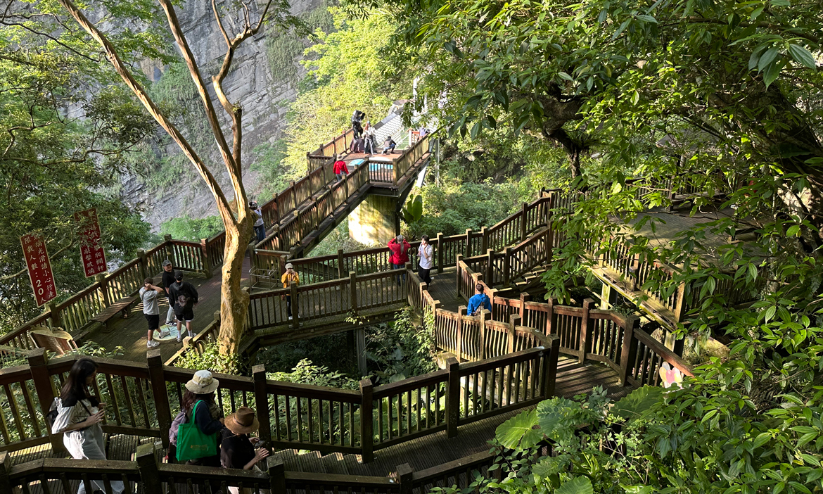 新竹避暑步道｜12條山林消暑景點推薦，溪畔、河谷、多遮蔭，走進森林裡的天然冷氣房