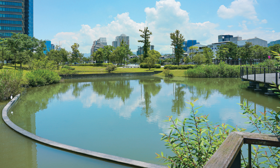 蒐集台北南港4個水系景點，夏日漫步城市水岸綠洲，探尋昔日水文記憶