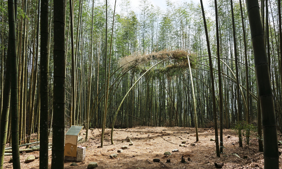 雲林古坑「石壁竹創森園區」二期再昇華，循竹虹步入瀰霧之境，看見活竹構建的自然劇場