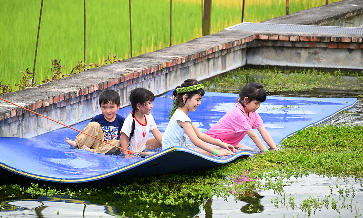 跟著水雉探險高雄美濃湖！捲起褲管採野蓮、體驗水草森林浮潛，近距離賞珍稀雉尾水雉