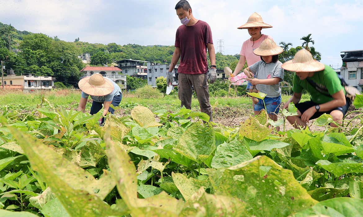 北部親子農場推薦｜在台北、新北、桃園郊區田園奔跑，採菜、焢窯、農事體驗放電一整天