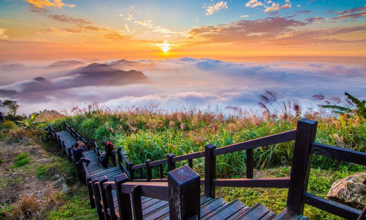 嘉義親子旅遊景點一次看｜採茶品茗、登山望景、手作體驗、乘檜木列車來場林鐵之旅