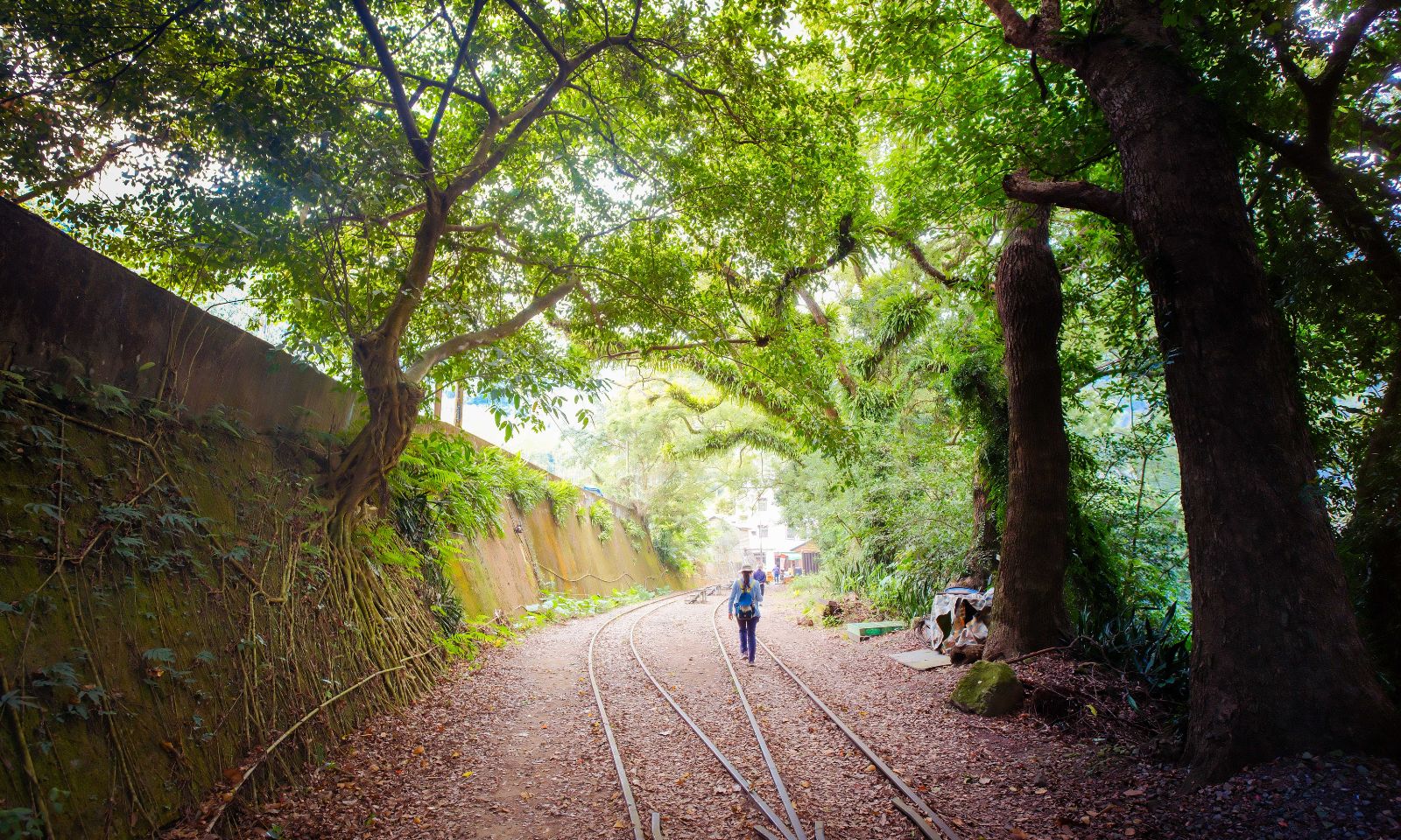 獨立山步道｜登山追火車 看世界級螺旋鐵道