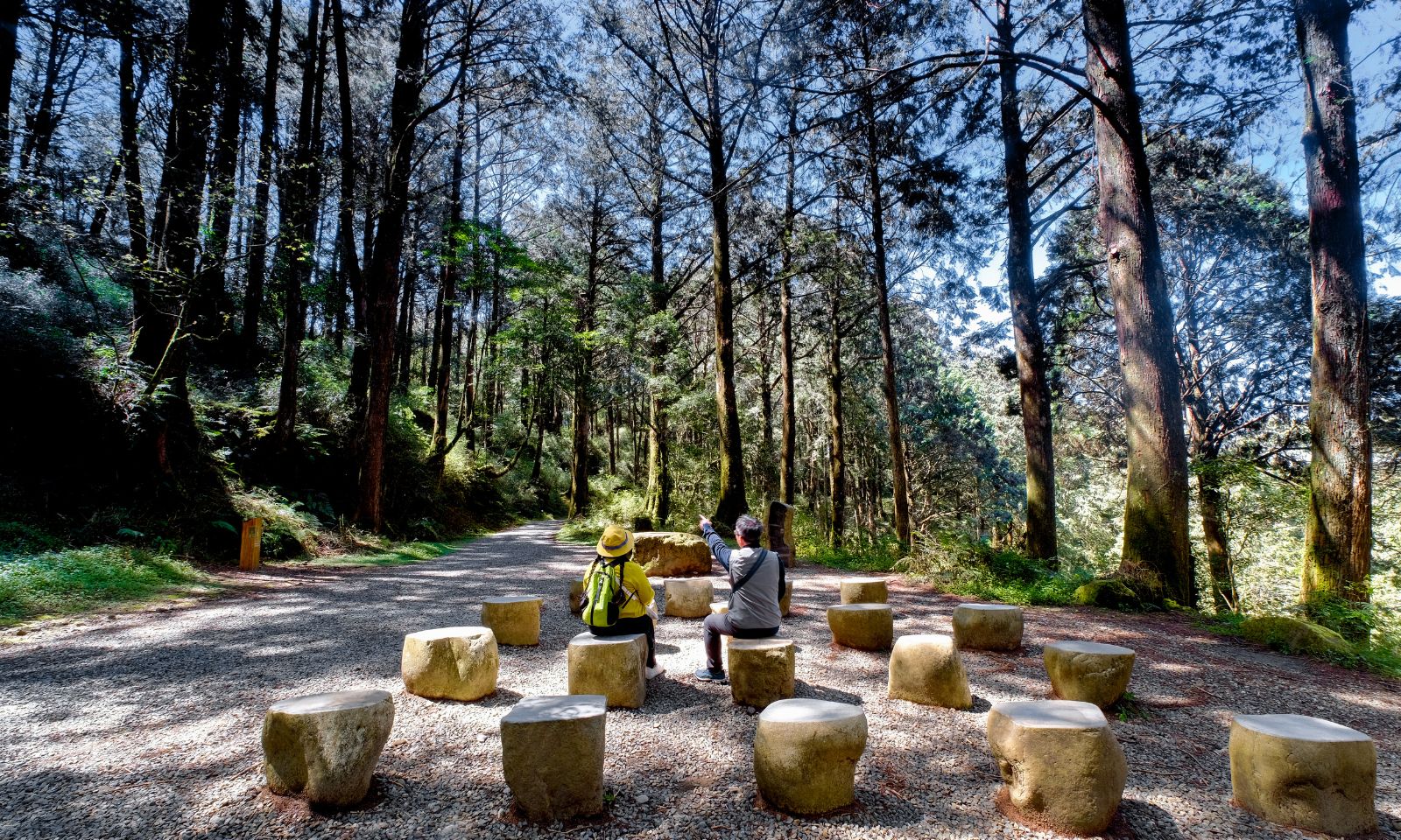 水山療癒步道｜森林散策  沉浸式的五感體驗