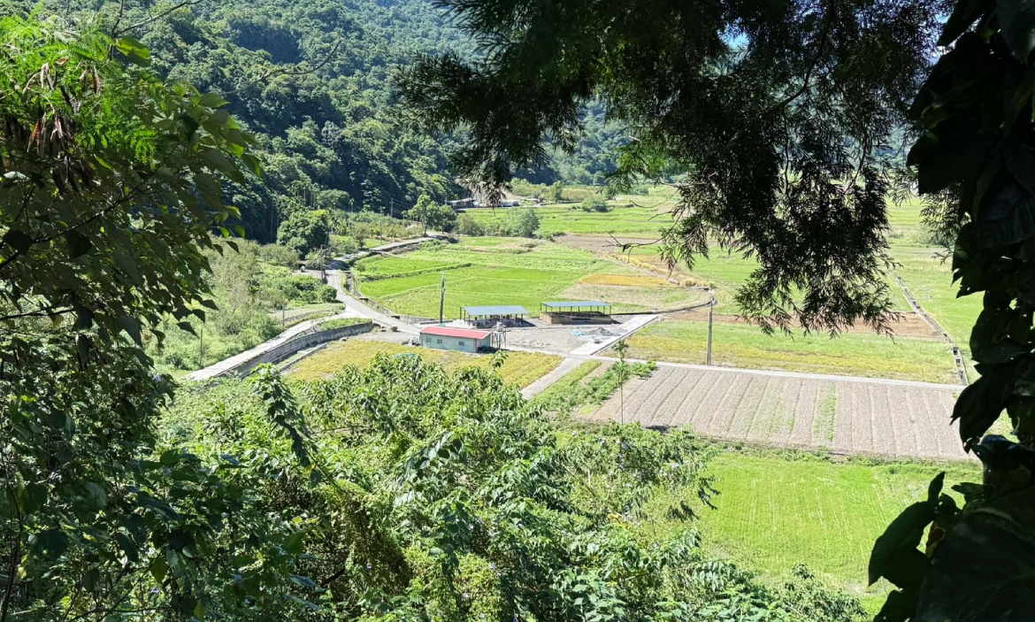 太平山下曾被遺忘的淨土，宜蘭大同樂水部落堅持Gaga精神，從有機農作開始的重生之路
