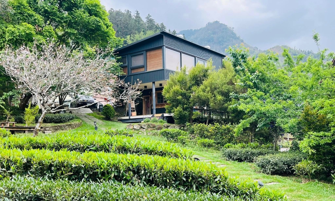 走進嘉義梅山「旅人茶濃」山角鐵茶屋 在雲海旁品茶香，休息再出發