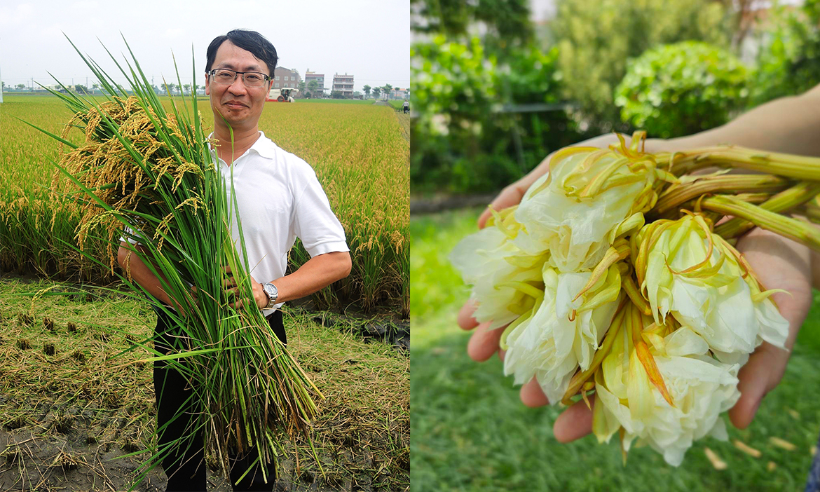 醫食同源的地方實驗，雲林土庫中醫師返鄉種藥、打造品牌，為農村開出跨域新路