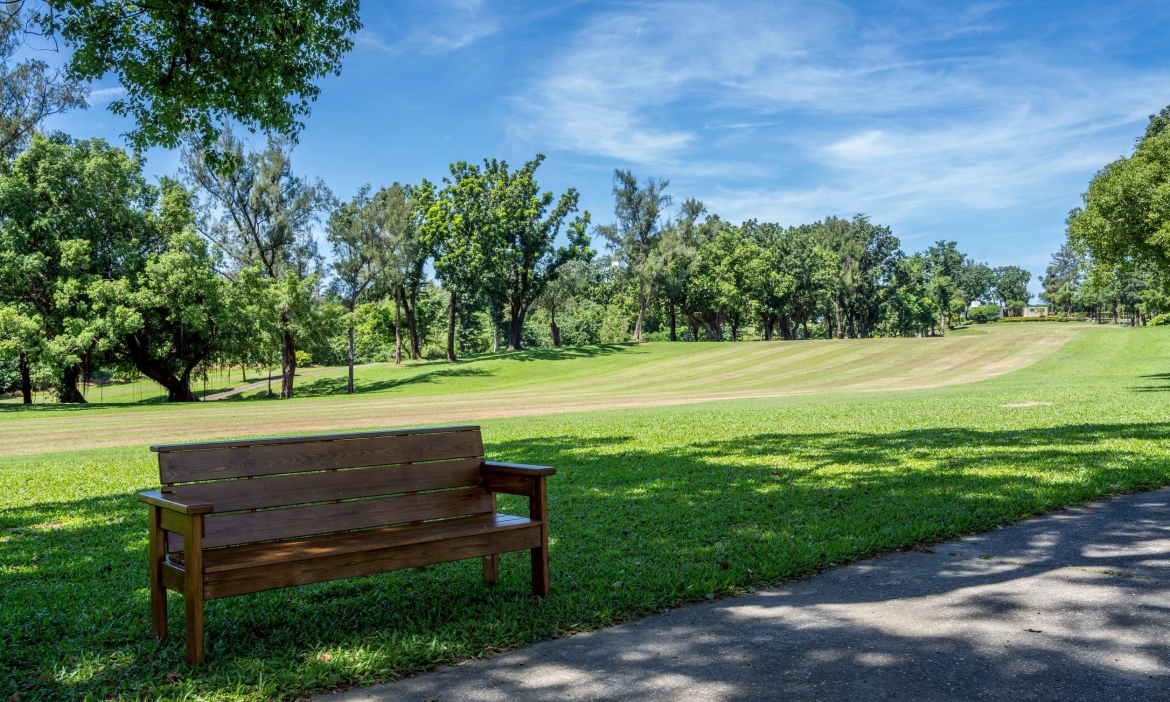 高雄鳥松新景點！70公頃果嶺自然公園免費入園，到澄清湖旁的生態綠地散步