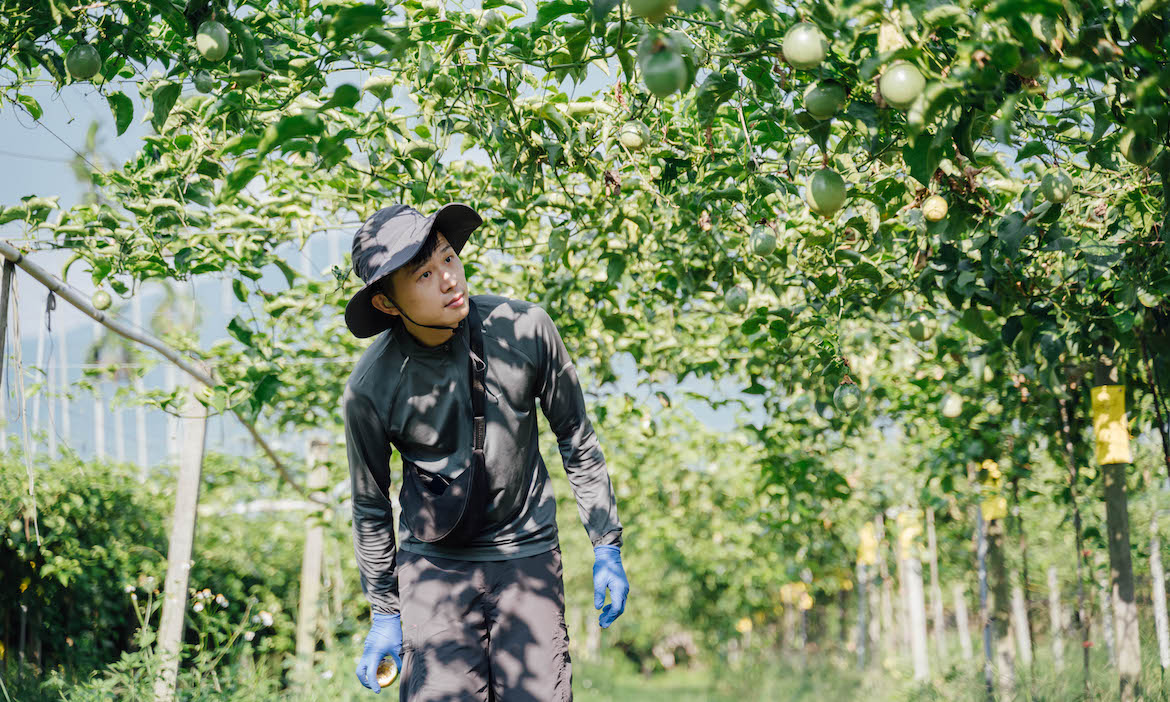 一畝沒有標籤的田，在南投埔里「阡陌游 Agri Dive」生態農場萌芽，重構身心障礙者的未來