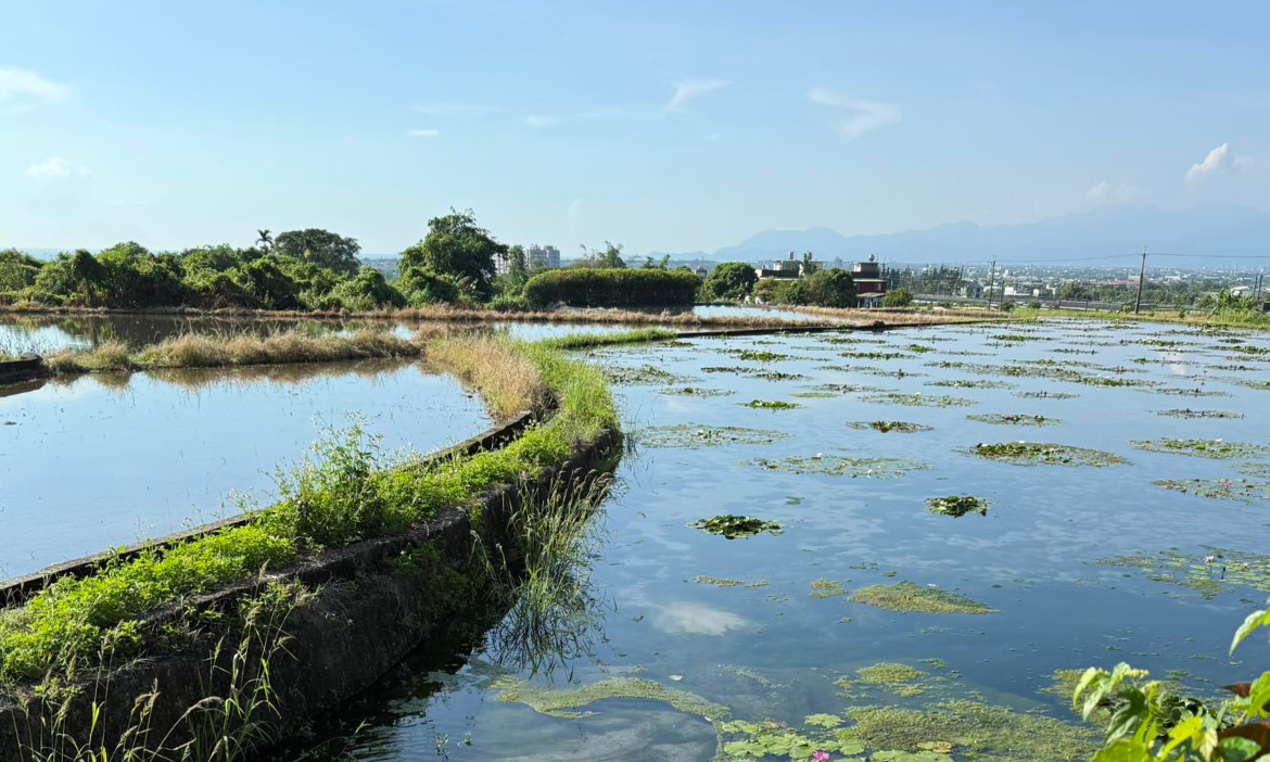 湧泉汨汨的靜謐聚落，宜蘭頭城福成社區用藍染、手工麵包，重回田野慢活的日子