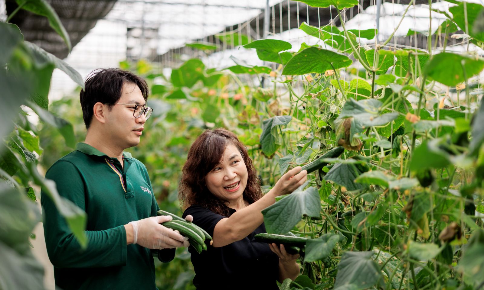 以共好之心與創新能量，串起嘉義市的城鄉生活
