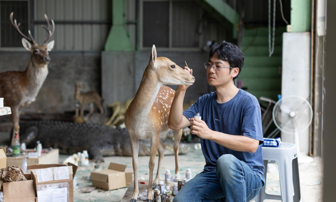 一個人的動物園，標本師黃雯杰精細還原動物生前面貌，將生命的一瞬化為永恆
