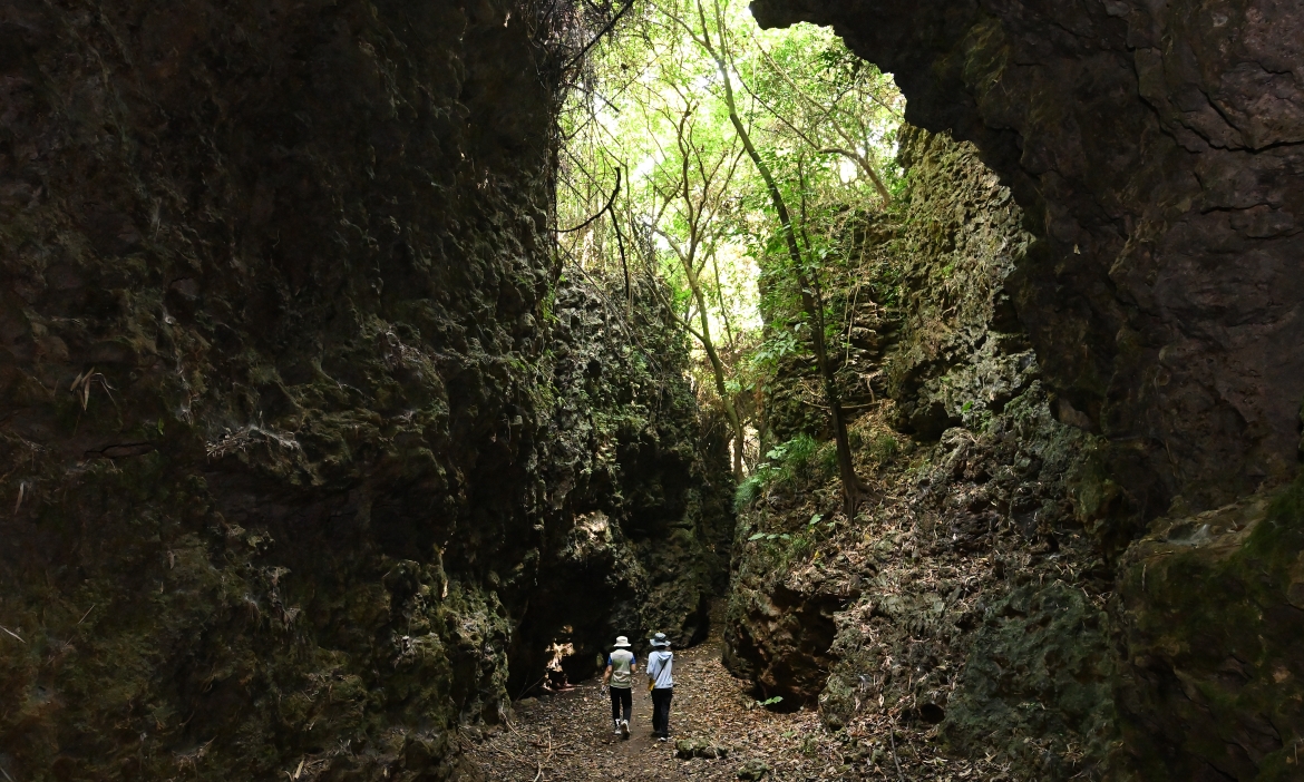 挑戰高雄大崗山秘境幽谷，尋訪盤龍峽谷、奇岩洞穴探險，攻克野性小百岳