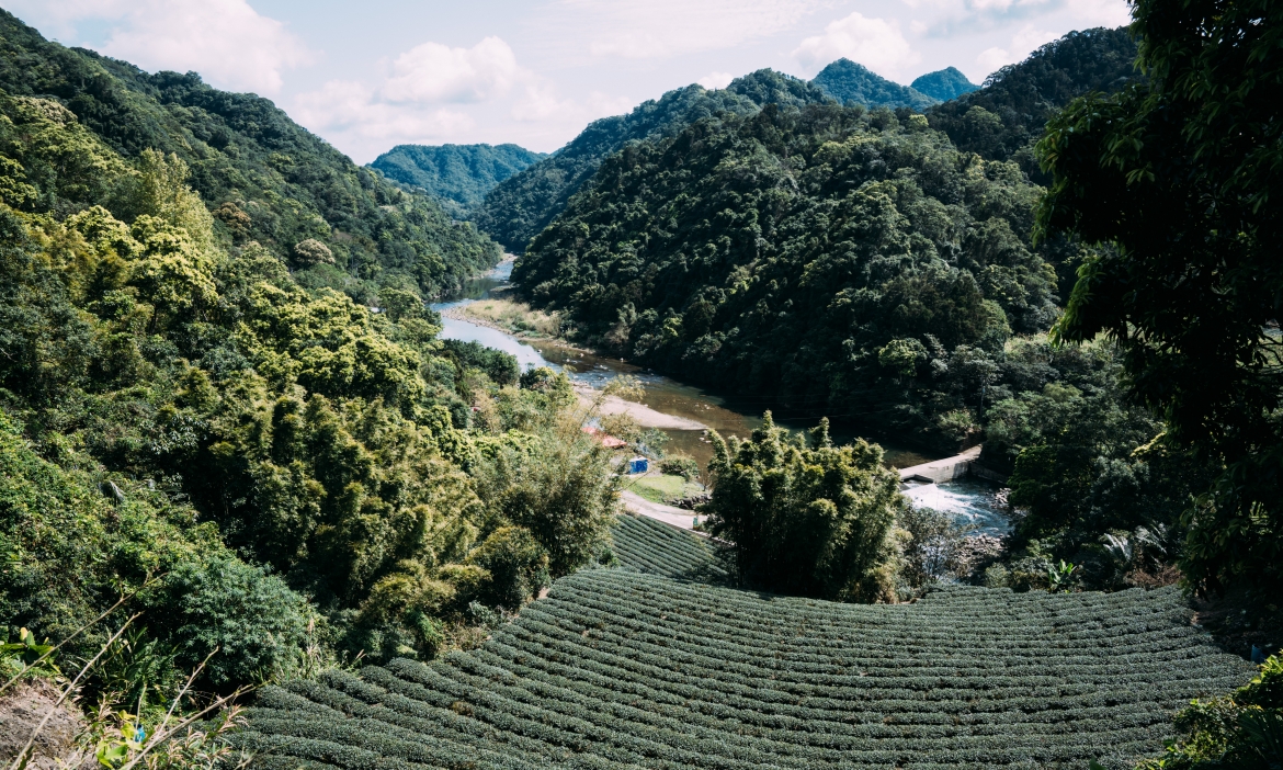 從日本德島上勝町看台灣，地方創生七年深化，永續成唯一解
