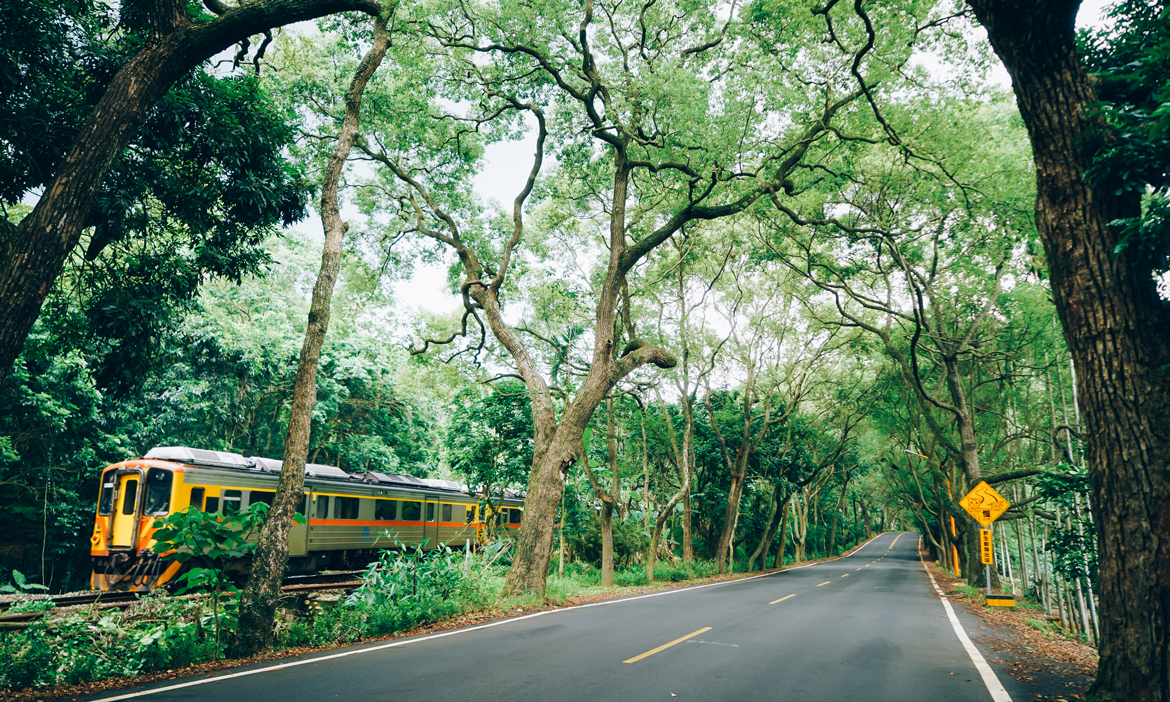 集集線1/5復駛兩階段通車！搭小火車重返南投療癒山城，沿途美食、住宿、景點順遊一次推薦