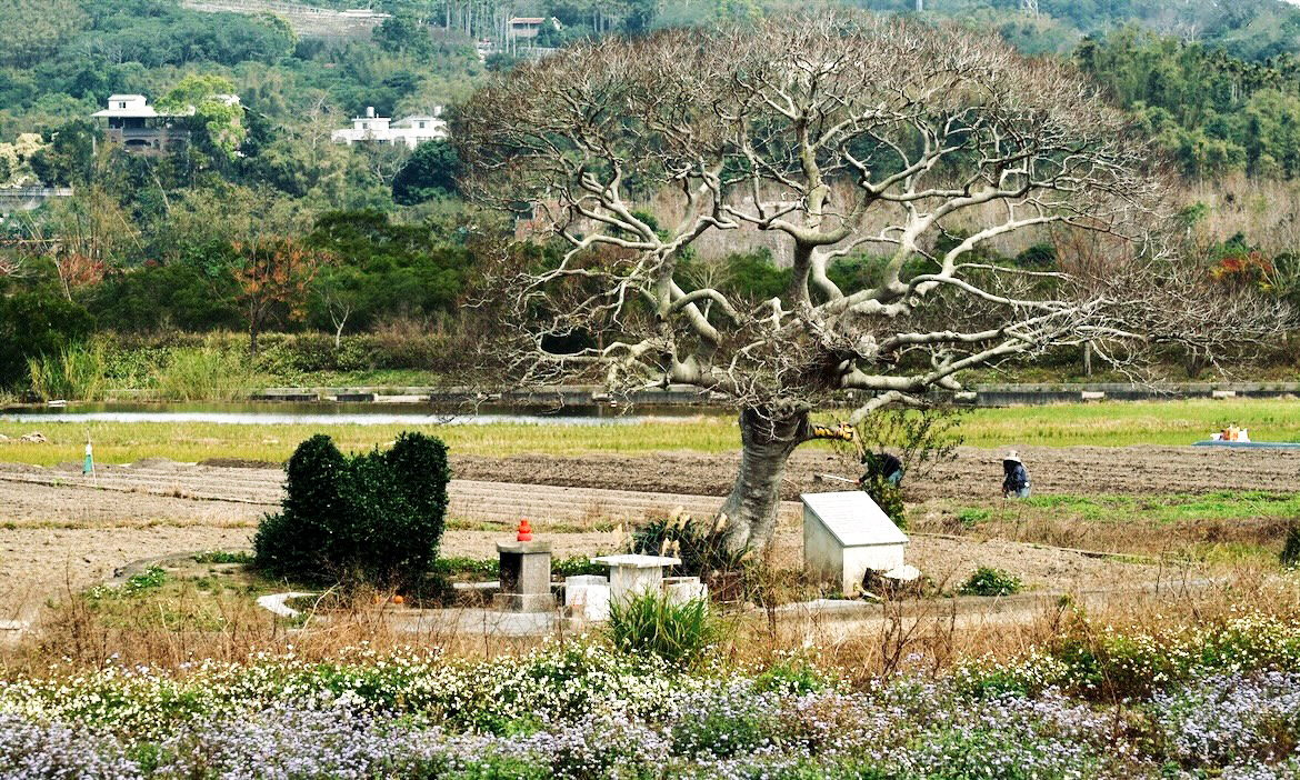 苗栗銅鑼二日遊郊區篇｜與田野間的「龍貓土地公」打招呼！蒐集玻璃屋銅鑼燒、新潮茶料理