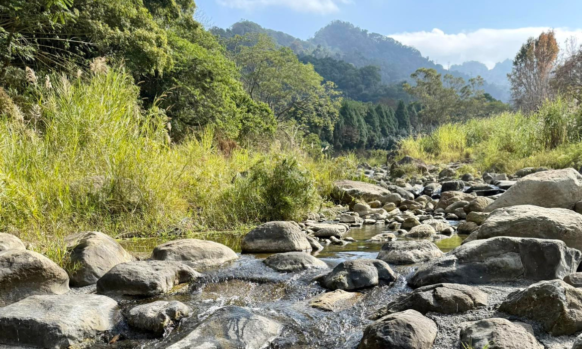 順水而生的台中新社，沿白冷圳與抽藤坑溪重返水源地，拜見豐饒山林的起點