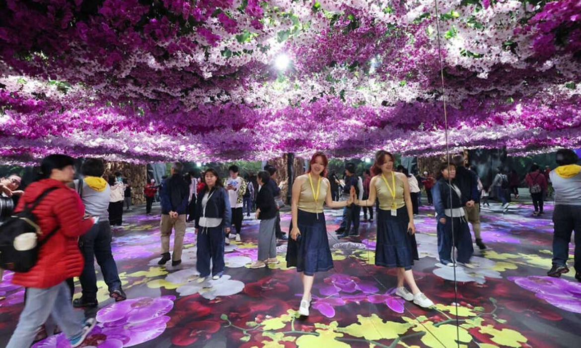台南春遊攻略｜蘭花也玩 AI？2026台灣國際蘭展雙展齊發，白天賞花、晚上逛燈會