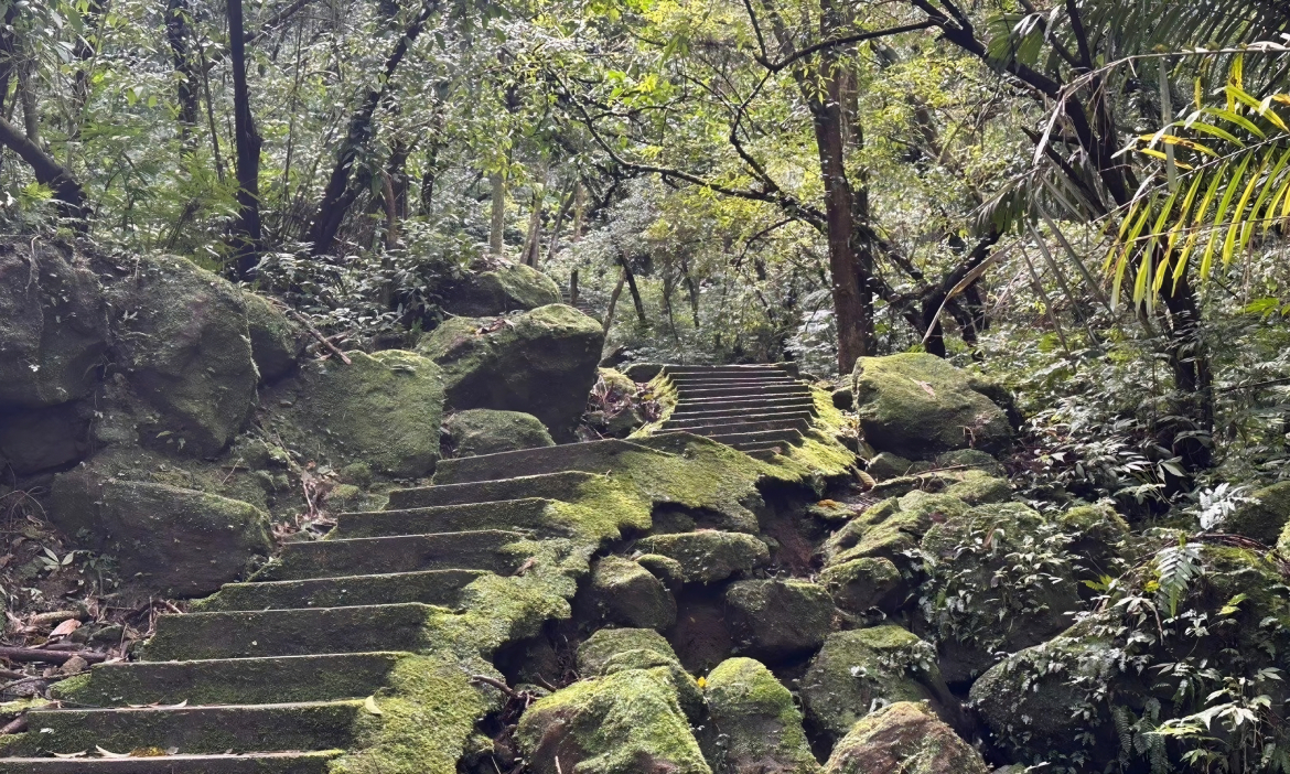 走進新北微笑山線春日風景！4場山林縱走，星夜野餐、夢幻螢光、岩稜挑戰一次解鎖