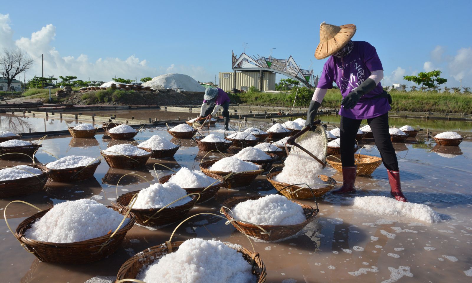 山海為徑，文化成聚——走進嘉義縣六大百大文化基地