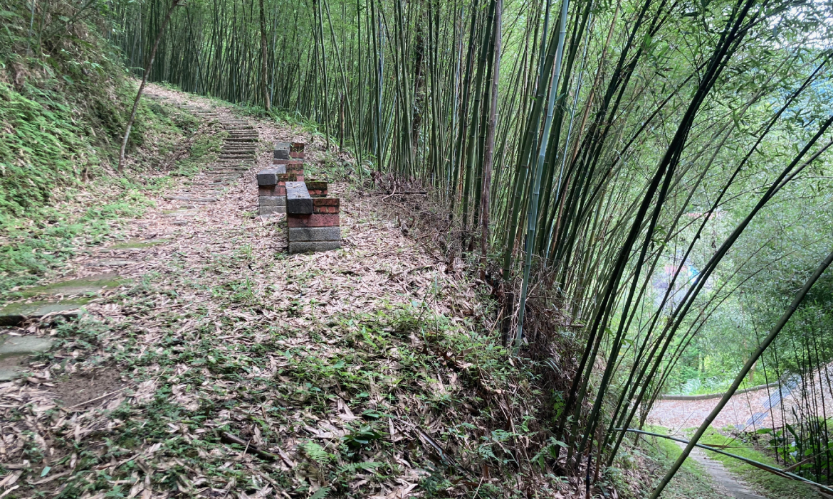 深入台三線上的苗栗山城，走古道、水路、老街發現獅潭三仙，細感山谷中的聚落風景