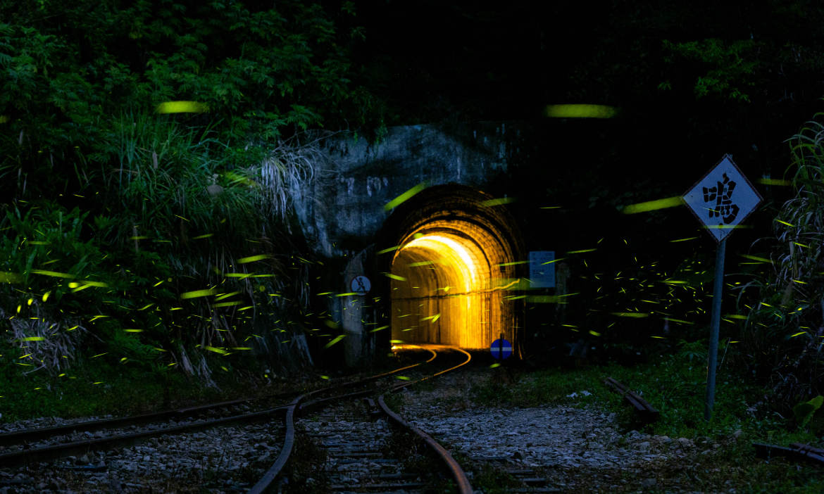 森林守護的螢河鐵道，駛入嘉義梅山「梨園寮車站」奇幻山林，星夜下與螢火蟲相遇
