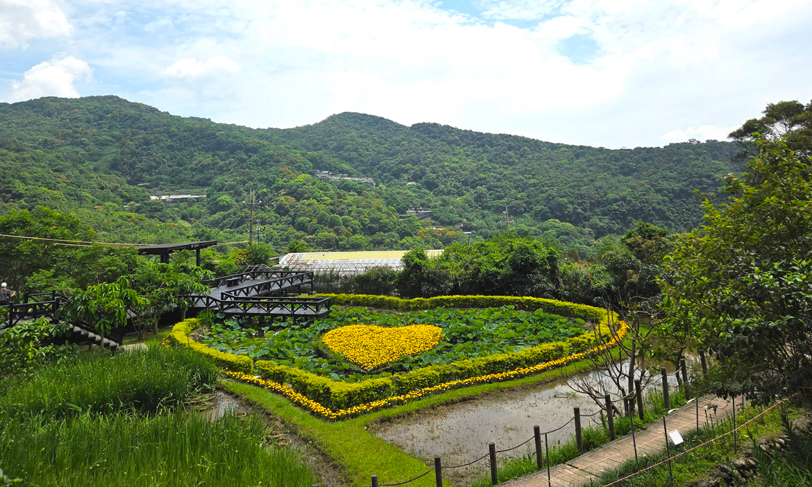 台北內湖景點一日遊｜白石湖同心池5月化身巨大橘色愛心，順遊白石湖吊橋與秘境步道