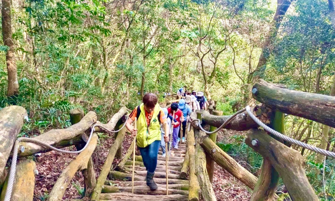 來場台中「大坑步道」森林療癒之旅！走進6大主題品茶席、禪行冥想，森山間賞群蝶飛舞