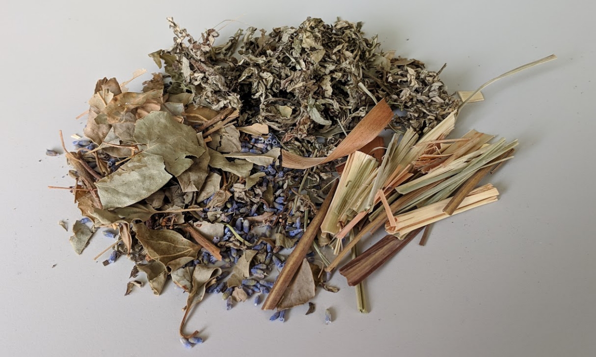 把森林香氣帶回家！走進植物療癒的世界，從青草拍打槌到花草茶，感受園藝治療的力量