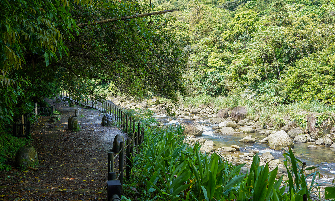 苗栗避暑步道｜12條山林景點推薦，溪畔、多遮蔭、高海拔巨木群，走進山城涼爽健行去