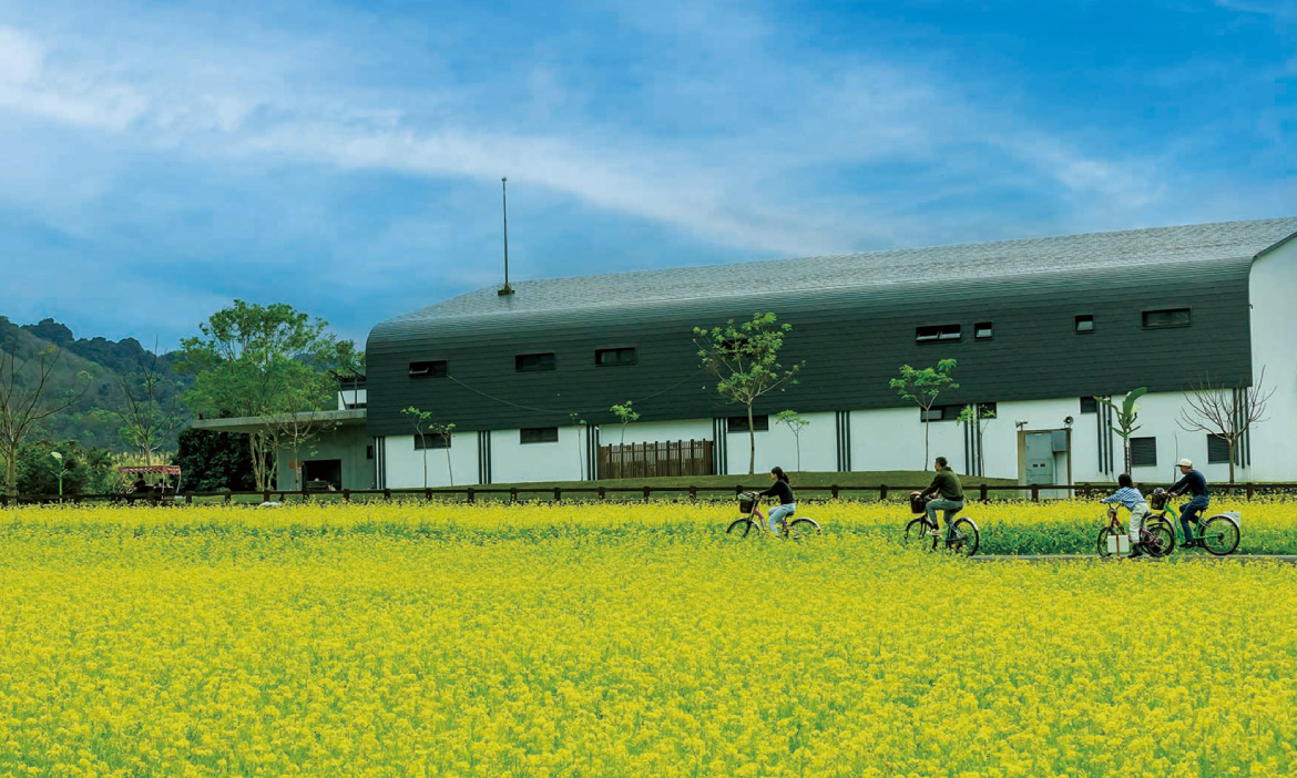 重返花蓮光復一日遊｜走讀太巴塱文物館、品溪流間的河上餐桌，感受光復不變的溫暖能量