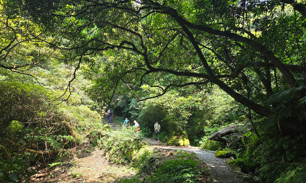 台北消暑步道｜開箱陽明山新景點！漫遊竹子湖「猴崁水圳步道」感受山林療癒之旅