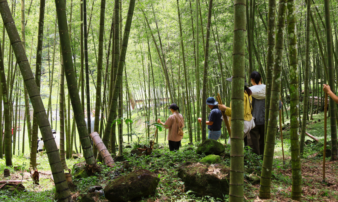 南投兩天一夜景點｜台灣的重量級竹鄉！漫遊竹山、草屯、鹿谷學竹藝，在竹海沏茶深呼吸