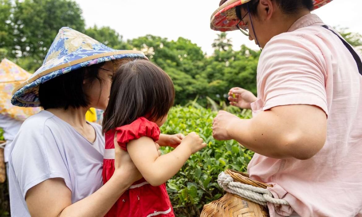 夏日採色農遊趣！全台8個特色農遊景點推薦，茶山賞螢、乘風賞鯨豚、體驗漁鄉一日遊