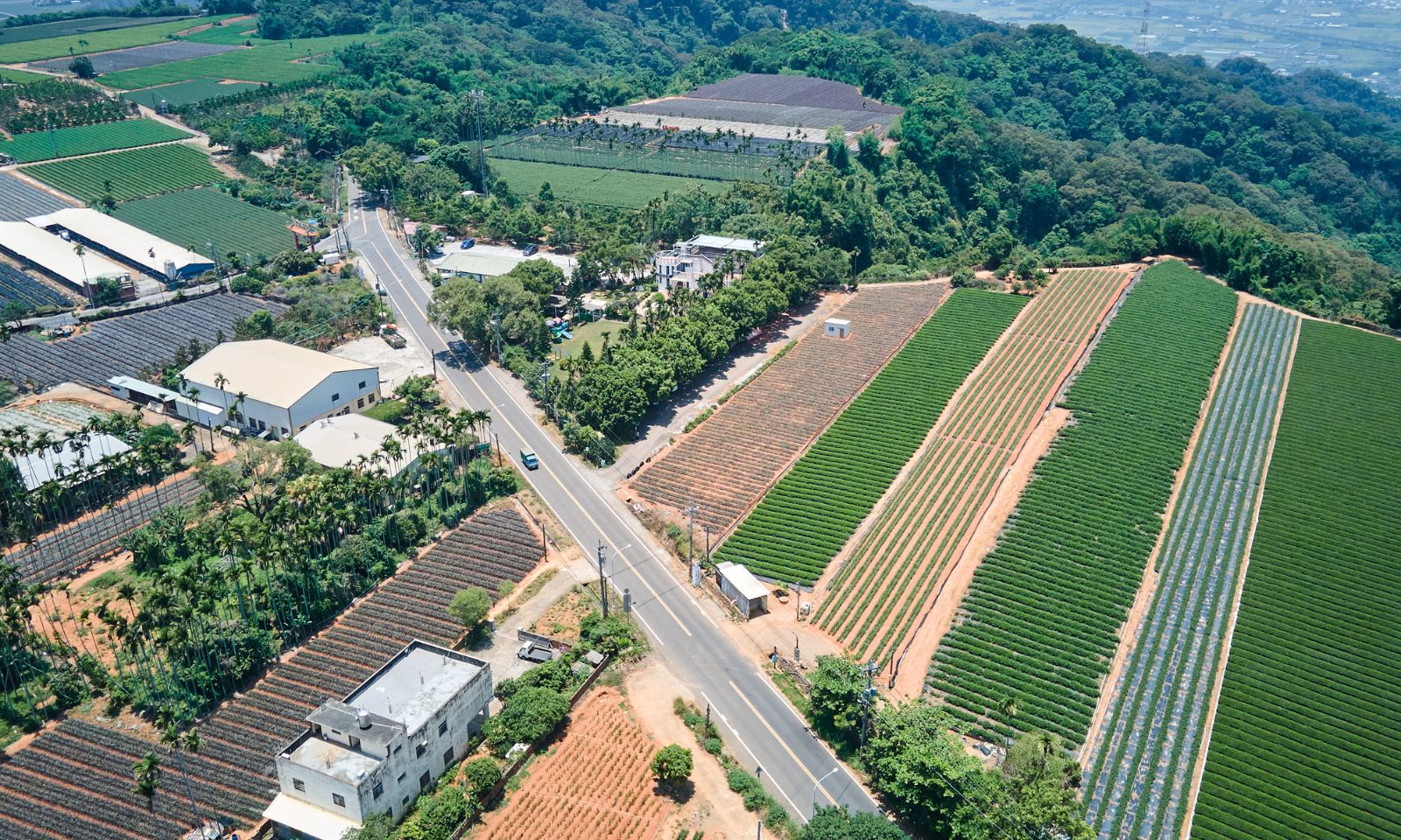南投139縣道 風土人情濃厚的公路旅行