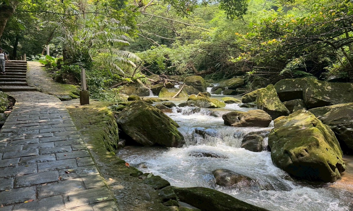 台北清涼避暑步道推薦｜來場芬多精森呼吸之旅！適合親子同遊的親山健行提案