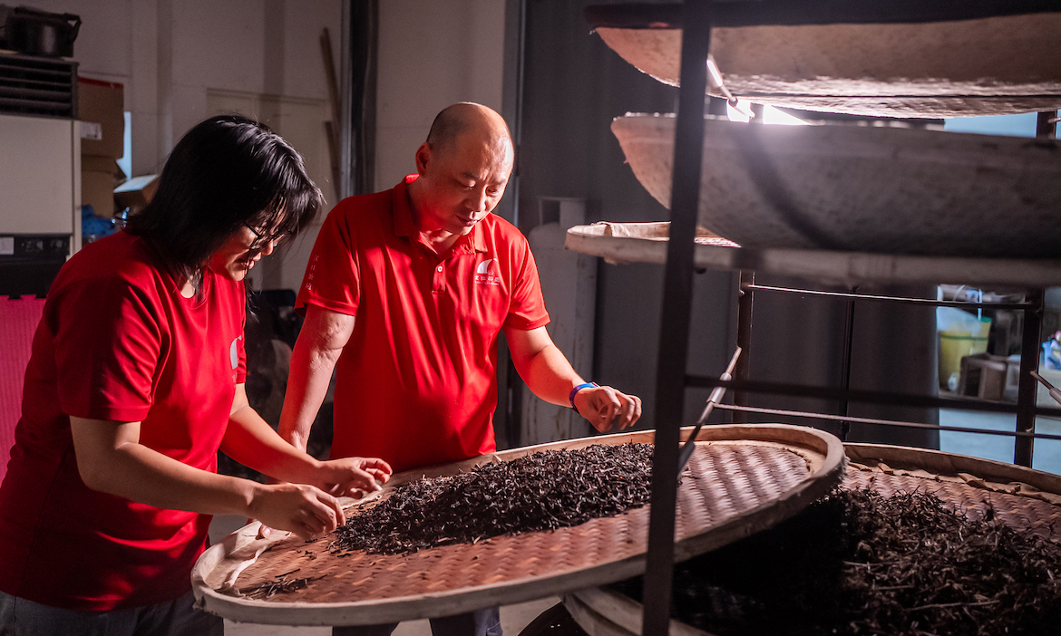 宜蘭三星「宜紅茶苑」用十二鄉鎮風土茶與五感茶學，闖出一條宜蘭茶的品牌新路