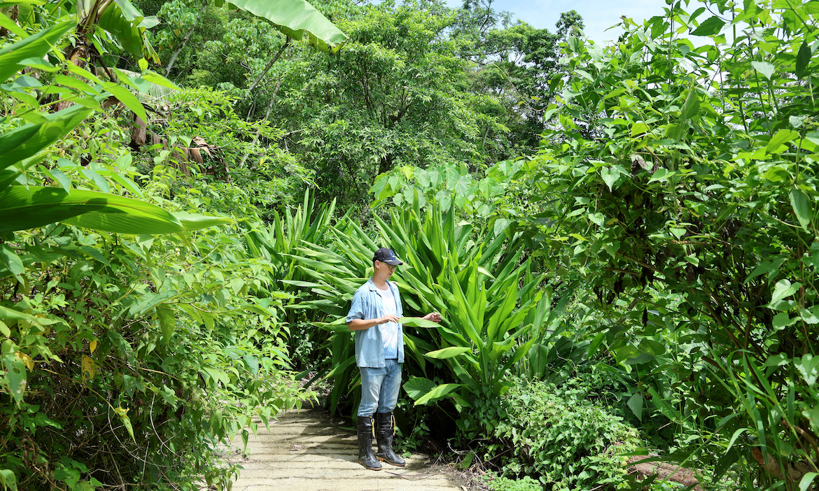在嘉義中埔種下一萬坪的夢想植物園，胖胖樹王瑞閔串連在地林農業，尋找共好生存之道