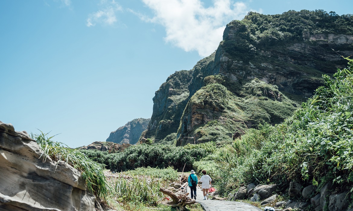 深入新北瑞芳岬灣地景，走步道、看南雅奇岩，探尋東北角海岸的生態巨作