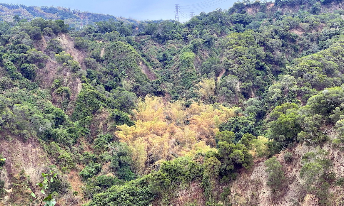展開地圖搭公車、火車出發！換一條路走，重新定義八卦山