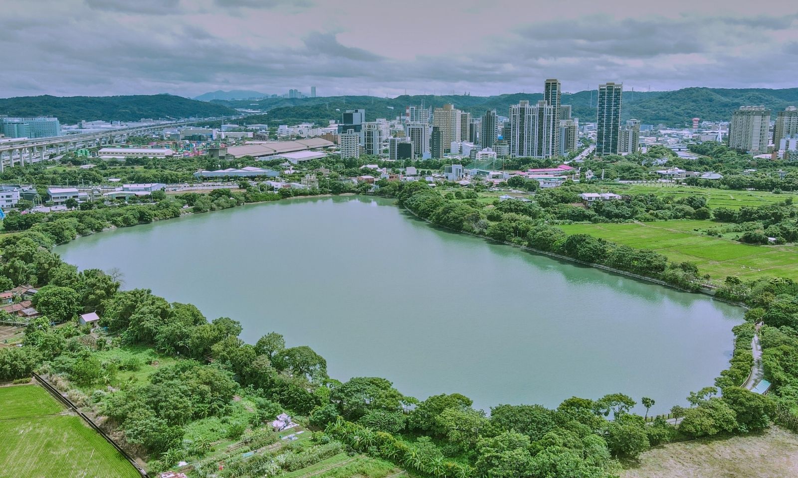 蘆興埤x南竹中正北小旅行｜打卡桃園滑冰運動世界，遇見巷弄麵包香，一動一靜串起休閒、味覺與信仰風景